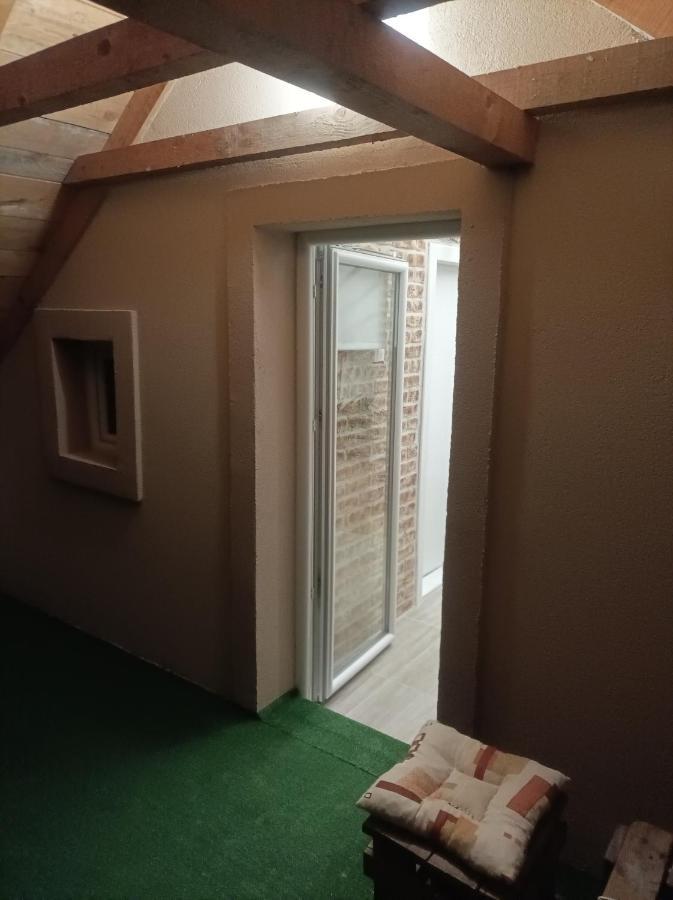 Apartmani Marija Zemun Zemun Polje Exterior foto