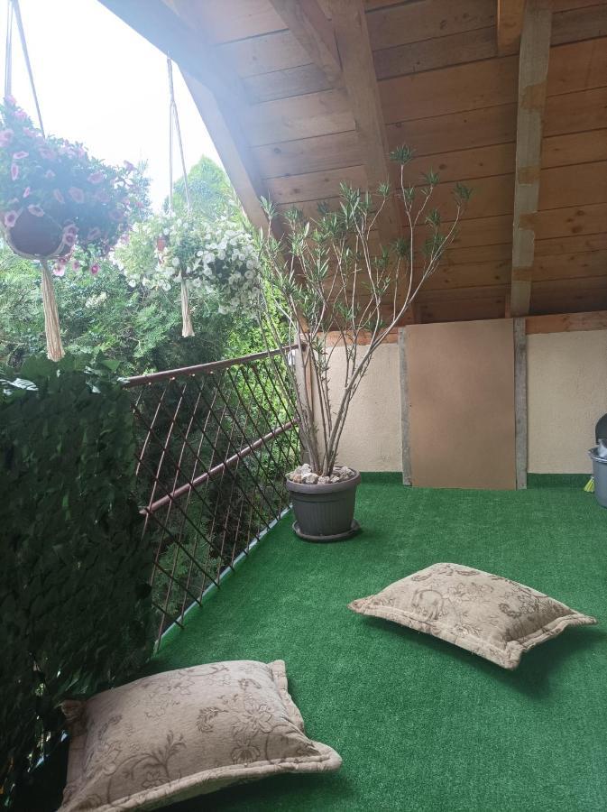 Apartmani Marija Zemun Zemun Polje Exterior foto