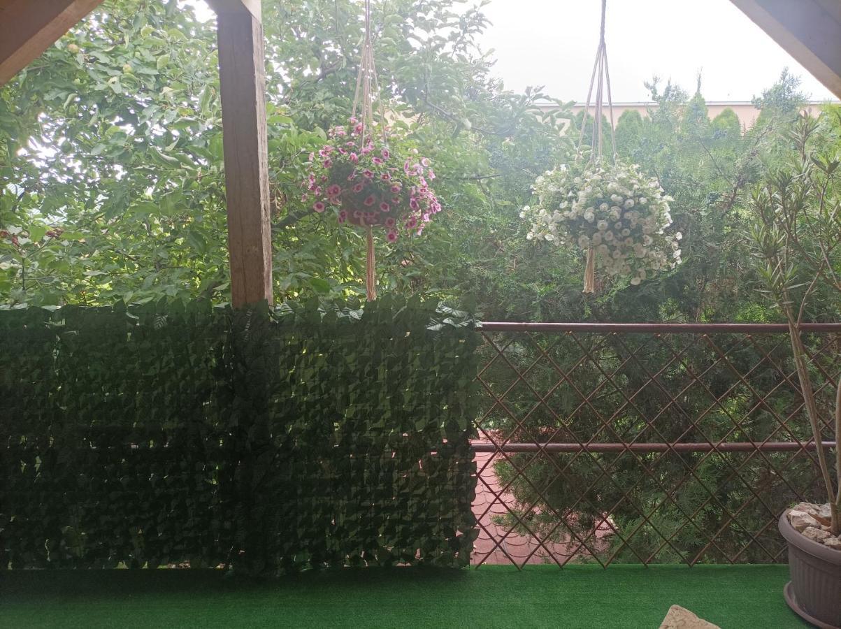 Apartmani Marija Zemun Zemun Polje Exterior foto